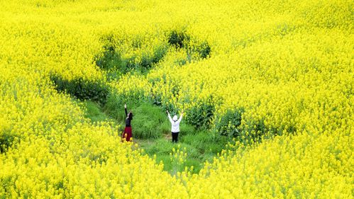 花花世界，假期去踏春